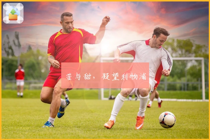 苦与甜，凝望利物浦