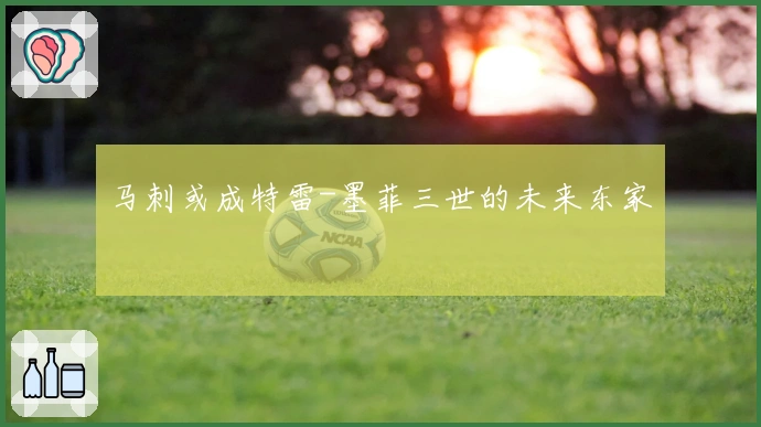 马刺或成特雷-墨菲三世的未来东家