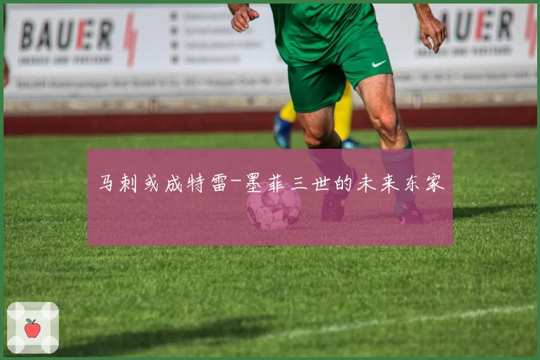 马刺或成特雷-墨菲三世的未来东家